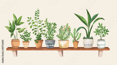 Shelf with houseplants decoration Vector style vector