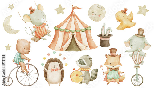 Circus cute animals, watercolor illustrations set for nursery and kids. Woodland baby animals