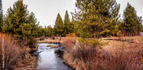 Beautiful landscape with a creek meandering through a lush grassy area. High Desert, Oregon