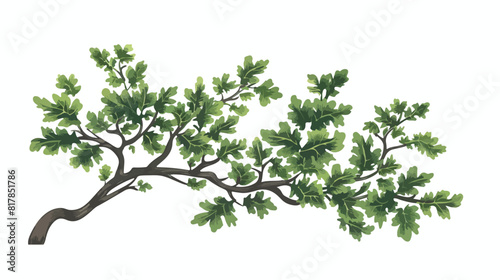 Deciduous tree forest plant. Green leaf crown summer