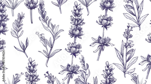 Elegant seamless pattern with lavender flowers hand