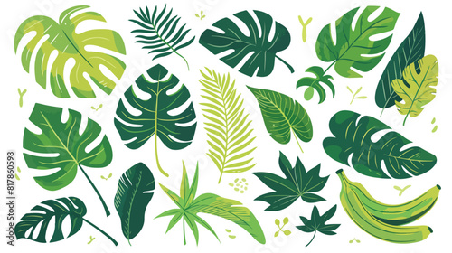 Exotic leaf set. Tropical jungle leaves. Green foliag
