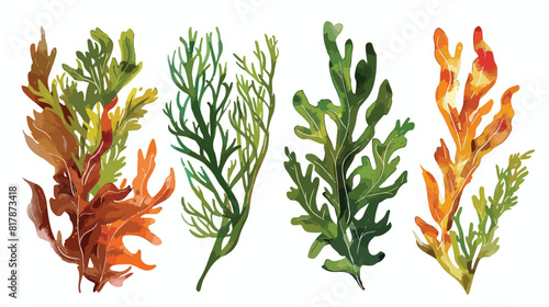 Four of colorful hand drawn edible algae vector graphic