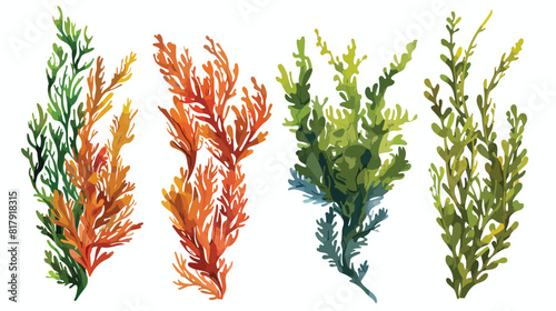 Four of colorful hand drawn edible algae vector graph