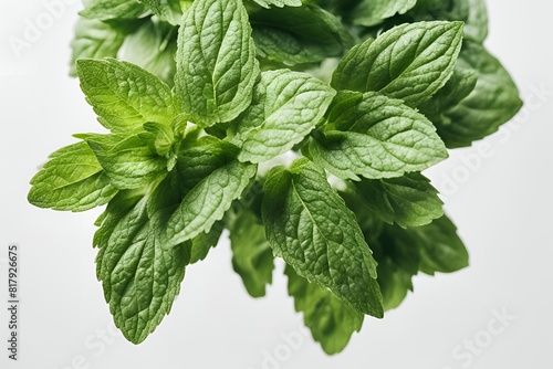 mint leaves on a transparent background