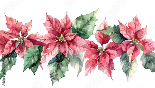 Festive Poinsettia Leaves and Flowers Watercolor Illustration on White Background