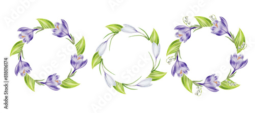 Crocus, lily of the valley set of frames, wreaths, logos, templates isolated on background. Spring and easter watercolor botanical banner. Hand painted s