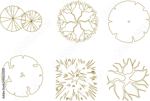 Vector illustration sketch of tree plant layout logo icon design seen from above for completeness of the plan