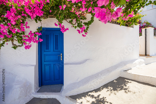 Old blue door pink flowers, traditional Greek architecture, Santorini island, Greece. Romantic street scenic of Oia, Santorini, white houses. Artistic couple destination background travel vacation