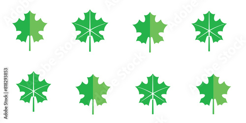 Set of maple leaves. Green Maple Leaves Pattern On White Background.
