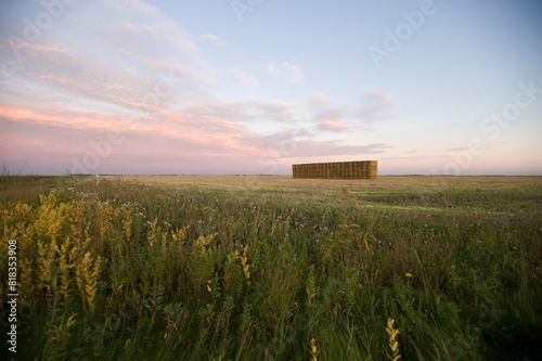 Prairie Field, Manitoba, Canada