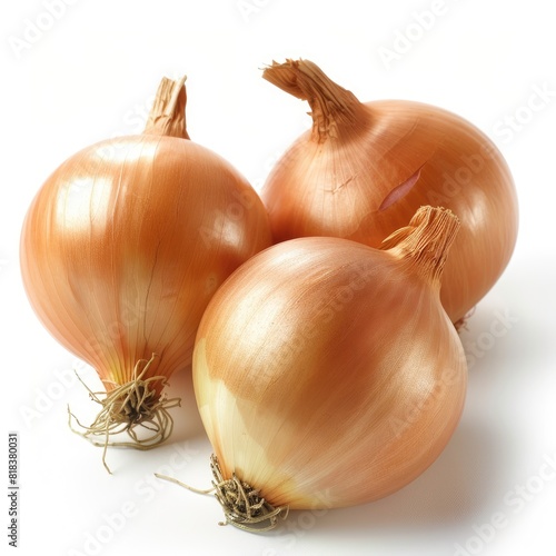 Onions onion vegetable shallot isolated on white background 