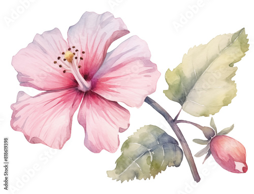 A Delia Flower Clipart, Watercolor Element Style, Pink Color.