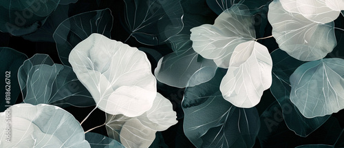 A detailed watercolor illustration of white and black petals in the style of Art Nouveau.
