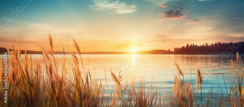 A serene lake at sunset with a picturesque foreground of reeds and plants and a sun gently descending on the horizon Copy space image