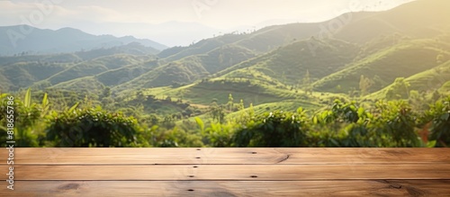 Copy space image of an empty wooden table overlooking a picturesque mountain or a wooden desk surrounded by a serene tea plantation with a blurred bokeh background Add your own text