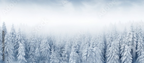 An aerial copy space image captures the serene beauty of snow covered winter pine forests and birch groves in the mountains creating an idyllic Christmas theme background