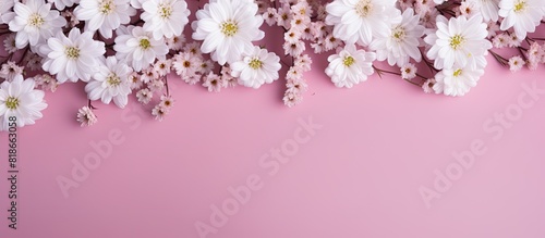 A floral pattern of white chrysanthemums and gypsophilas on a pink background viewed from the top It is a flat lay image with copy space for your text