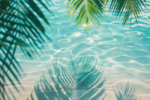 A palm tree is casting a shadow on the water. The water is calm and clear. Concept of relaxation and tranquility