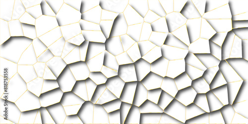 Abstract lines in black and white tones create many squares and rectangle shapes, Broken tiles mosaic seamless pattern. White gravel with golden line wallpaper. vector illustration.