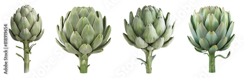 3D Rendering Pack of a Fresh Artichoke on Transparent Background - Ai Generated
