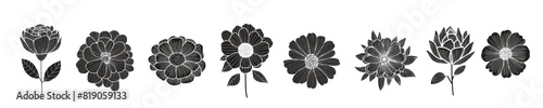 Vector black silhouettes of flowers isolated on a white background.