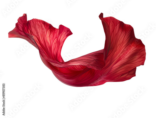 A red flower petal floating cut out transparent isolated on white background PNG file artwork graphic design.