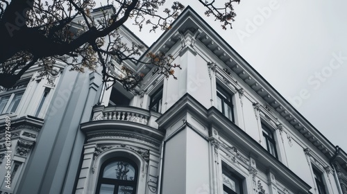 White corner building with a dark tree