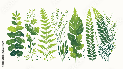 Vector flat abstract green fern plant icon. Wild me