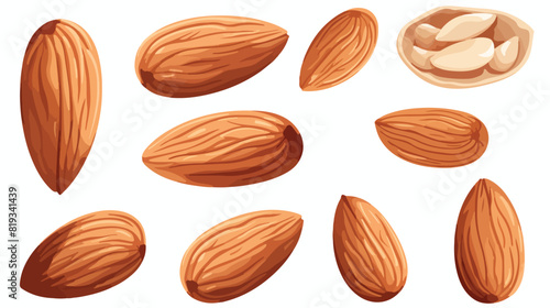 Whole and cut almond nuts vector illustration isola