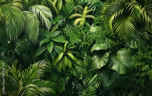 Lush green foliage background with dense tropical trees and bushes.