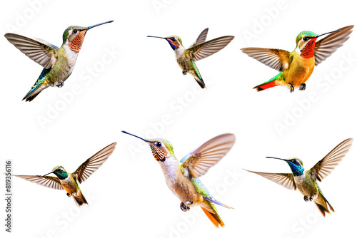 A set of four hummingbirds flying in different directions, PNG with transparent background, AI