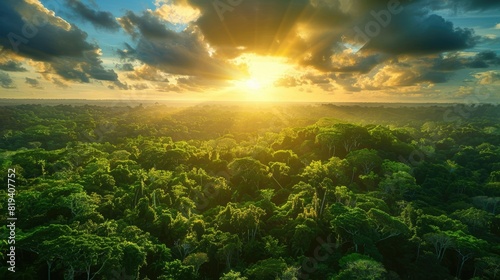 Beautiful green amazon forest landscape at sunset sunrise