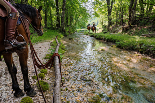 A forest trail horseback riding scene, with horse reins tied to a low branch near a clear, flowing stream.