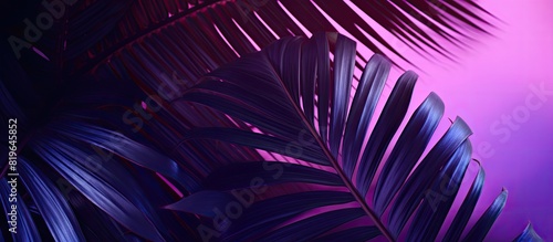 Trendy duotone neon backlight creates a shadow of a tropical leaf forming an abstract purple hued background with copy space image