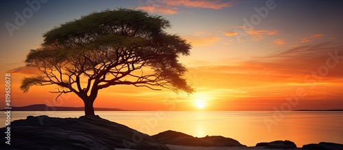 Silhouette of a large tree against a beautiful beach sunset scenery with copy space image