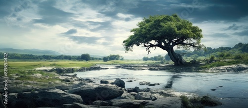 Breathtaking scene beneath an ancient tree overlooking a cloudy sky beside a wild river ideal for a copy space image
