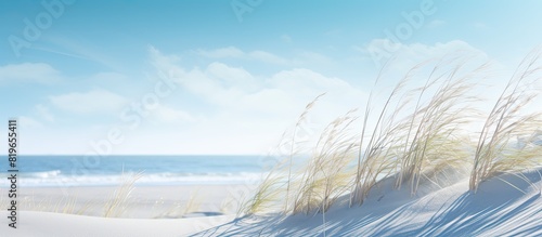 Sunny winter day at the beach grass with sand dunes with beautiful copy space image