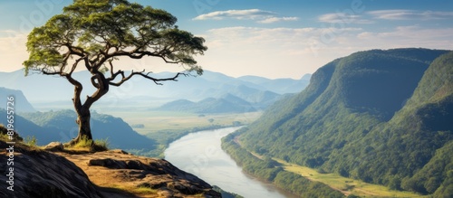 A scenic view of a majestic Salween tree in its natural habitat with a vast landscape surrounding it creating the perfect copy space image
