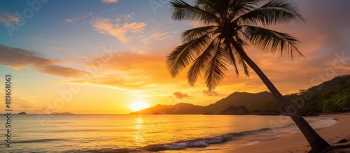 A serene palm tree overlooks a picturesque tropical beach with crystal clear waters golden sands and a stunning sunset The scene offers a tranquil setting with ample copy space image