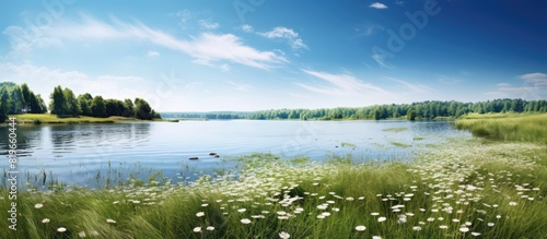 Lakeside meadow in a wetland with a heath backdrop offering a tranquil setting for outdoor activities with a stunning view including a copy space image