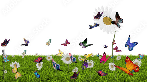 PNG. Illustrazione 3D. Primavera, estate. Fiori e farfalle su prato verde . Campo di erba con fiori colorati e farfalle, sullo sfondo trasparente.