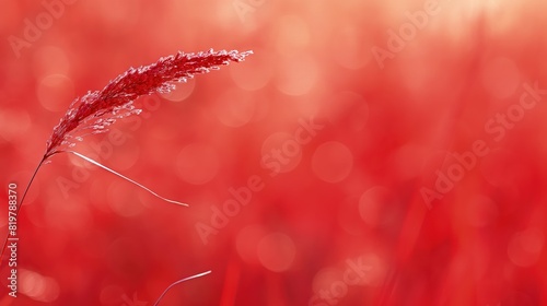 A minimalist red grass background with a single blade in focus against a blurred backdrop, emphasizing simplicity and elegance.