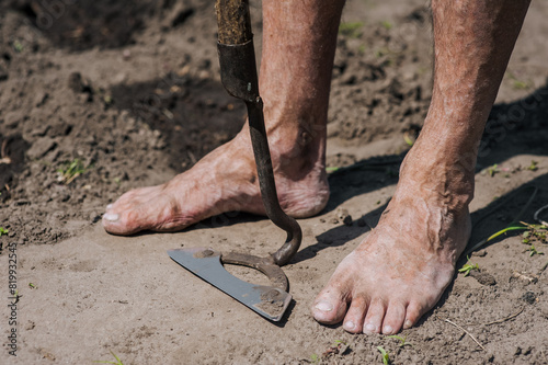 An adult elderly man gardener stands barefoot on the ground of the garden with a hoe and tool. Close-up photography, agriculture concept.