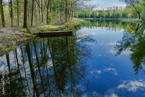 Jezioro położone w sosnowym, wysokim lesie. Jest słoneczny dzień, Niebo jest lekko zachmurzone.