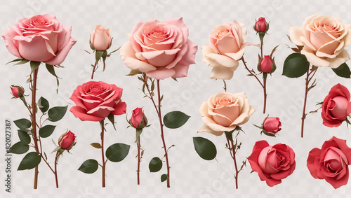 There are several pink and cream colored roses on a white background.