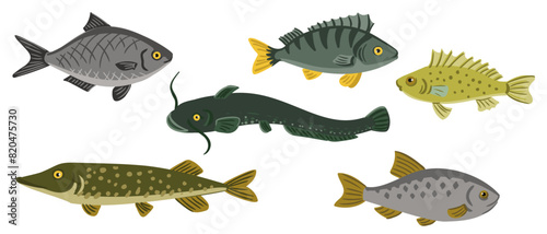 Vector drawing set of fishes, Eurasian ruffe, rutilus roach, northern pike, freshwater bream, wells catfish and perch isolated at white background, hand drawn vector illustration