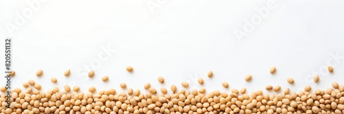 soy beans on border side on plain white background copyspace banner from Generative AI