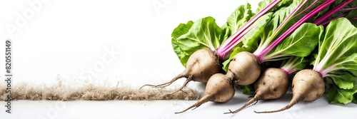 sugar beets on border side on plain white background copyspace banner from Generative AI
