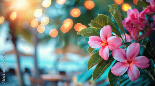 tropical flowers on the background of the beach, sea, vacation, blurred, space for text, frame of plants, nature, sea, ocean, south, travel, Bali, Caribbean islands, Philippines, natural landscape